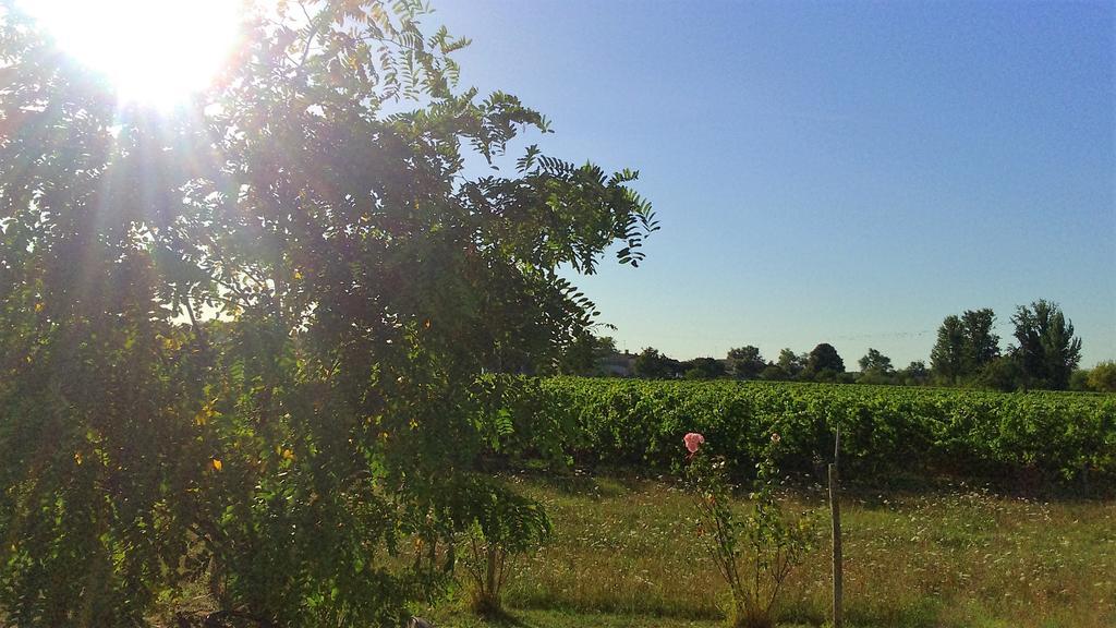 Вілла Le Soleil En Gironde Vrillant Екстер'єр фото